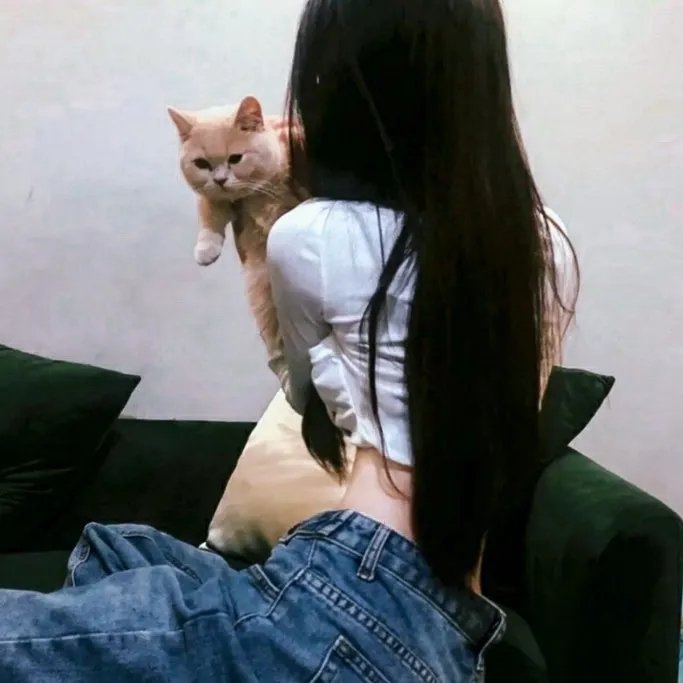 红犬历险记